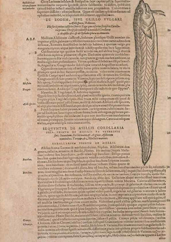 Reproducción/Reproduction 15382822100: Conradi Gesneri medici Tigurini Historiae animalium liber IV :. Francofurti :In Bibliopolio Andreae Cambieri,anno MDCIIII [1604]