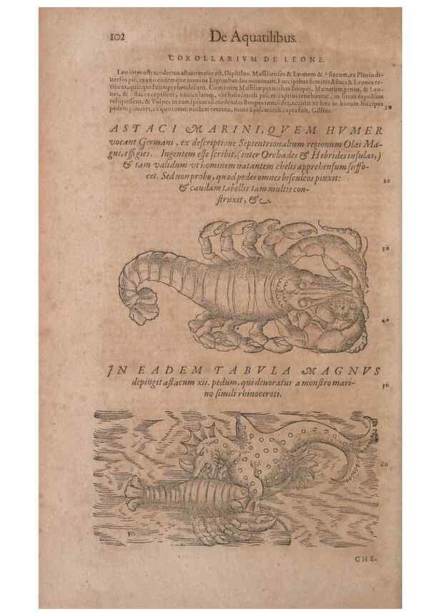 Reproducción/Reproduction 14947710464: Conradi Gesneri medici Tigurini Historiae animalium liber IV :. Francofurti :In Bibliopolio Andreae Cambieri,anno MDCIIII [1604]