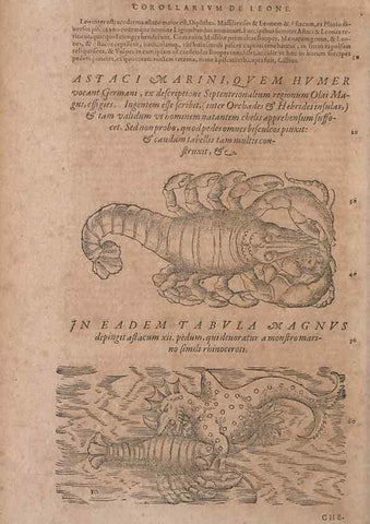 Reproducción/Reproduction 14947710464: Conradi Gesneri medici Tigurini Historiae animalium liber IV :. Francofurti :In Bibliopolio Andreae Cambieri,anno MDCIIII [1604]