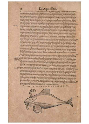 Reproducción/Reproduction 15565803081: Conradi Gesneri medici Tigurini Historiae animalium liber IV :. Francofurti :In Bibliopolio Andreae Cambieri,anno MDCIIII [1604]