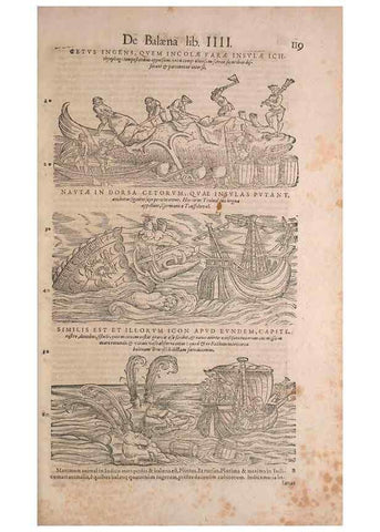 Reproducción/Reproduction 15565807971: Conradi Gesneri medici Tigurini Historiae animalium liber IV :. Francofurti :In Bibliopolio Andreae Cambieri,anno MDCIIII [1604]
