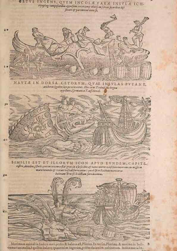 Reproducción/Reproduction 15565807971: Conradi Gesneri medici Tigurini Historiae animalium liber IV :. Francofurti :In Bibliopolio Andreae Cambieri,anno MDCIIII [1604]