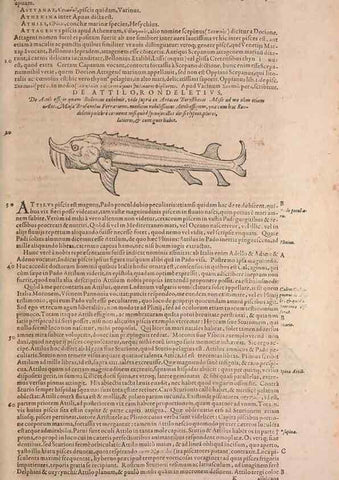 Reproducción/Reproduction 15544764186: Conradi Gesneri medici Tigurini Historiae animalium liber IV :. Francofurti :In Bibliopolio Andreae Cambieri,anno MDCIIII [1604]