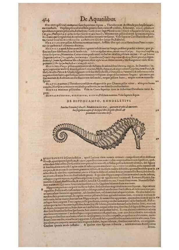 Reproducción/Reproduction 15569762232: Conradi Gesneri medici Tigurini Historiae animalium liber IV :. Francofurti :In Bibliopolio Andreae Cambieri,anno MDCIIII [1604]