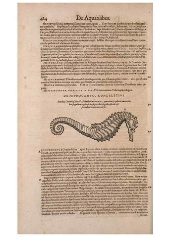 Reproducción/Reproduction 15569762232: Conradi Gesneri medici Tigurini Historiae animalium liber IV :. Francofurti :In Bibliopolio Andreae Cambieri,anno MDCIIII [1604]
