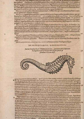 Reproducción/Reproduction 15569762232: Conradi Gesneri medici Tigurini Historiae animalium liber IV :. Francofurti :In Bibliopolio Andreae Cambieri,anno MDCIIII [1604]