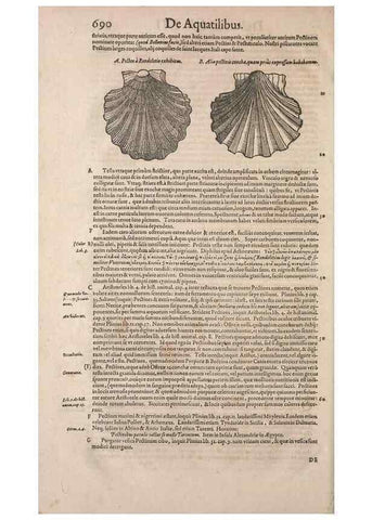 Reproducción/Reproduction 15545437876: Conradi Gesneri medici Tigurini Historiae animalium liber IV :. Francofurti :In Bibliopolio Andreae Cambieri,anno MDCIIII [1604]