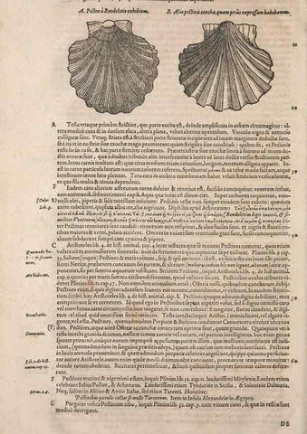 Reproducción/Reproduction 15545437876: Conradi Gesneri medici Tigurini Historiae animalium liber IV :. Francofurti :In Bibliopolio Andreae Cambieri,anno MDCIIII [1604]