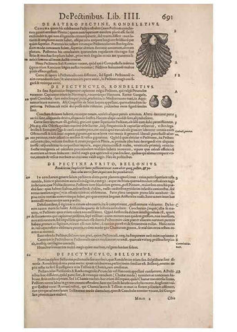 Reproducción/Reproduction 15383135367: Conradi Gesneri medici Tigurini Historiae animalium liber IV :. Francofurti :In Bibliopolio Andreae Cambieri,anno MDCIIII [1604]