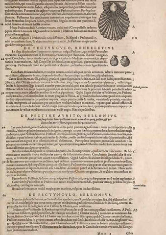 Reproducción/Reproduction 15383135367: Conradi Gesneri medici Tigurini Historiae animalium liber IV :. Francofurti :In Bibliopolio Andreae Cambieri,anno MDCIIII [1604]