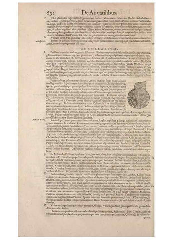 Reproducción/Reproduction 15545442016: Conradi Gesneri medici Tigurini Historiae animalium liber IV :. Francofurti :In Bibliopolio Andreae Cambieri,anno MDCIIII [1604]