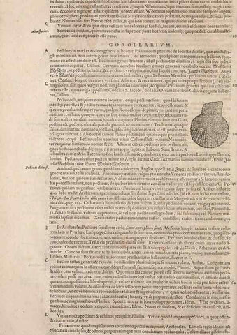 Reproducción/Reproduction 15545442016: Conradi Gesneri medici Tigurini Historiae animalium liber IV :. Francofurti :In Bibliopolio Andreae Cambieri,anno MDCIIII [1604]