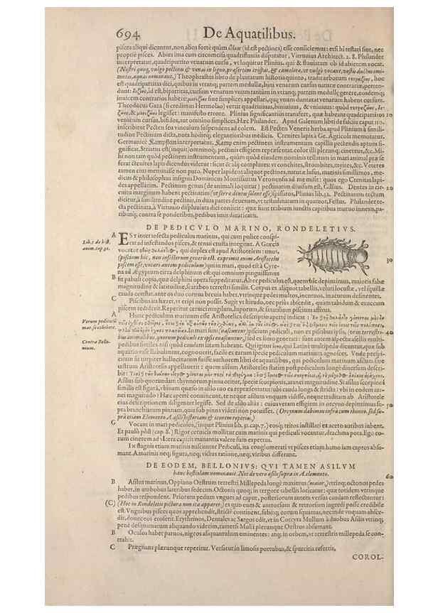 Reproducción/Reproduction 15382994878: Conradi Gesneri medici Tigurini Historiae animalium liber IV :. Francofurti :In Bibliopolio Andreae Cambieri,anno MDCIIII [1604]