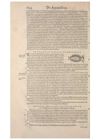 Reproducción/Reproduction 15382994878: Conradi Gesneri medici Tigurini Historiae animalium liber IV :. Francofurti :In Bibliopolio Andreae Cambieri,anno MDCIIII [1604]