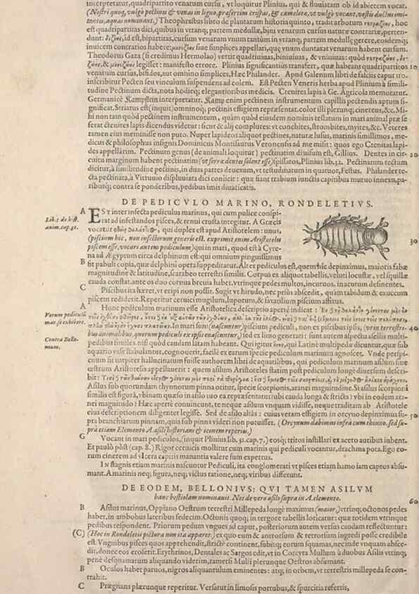Reproducción/Reproduction 15382994878: Conradi Gesneri medici Tigurini Historiae animalium liber IV :. Francofurti :In Bibliopolio Andreae Cambieri,anno MDCIIII [1604]