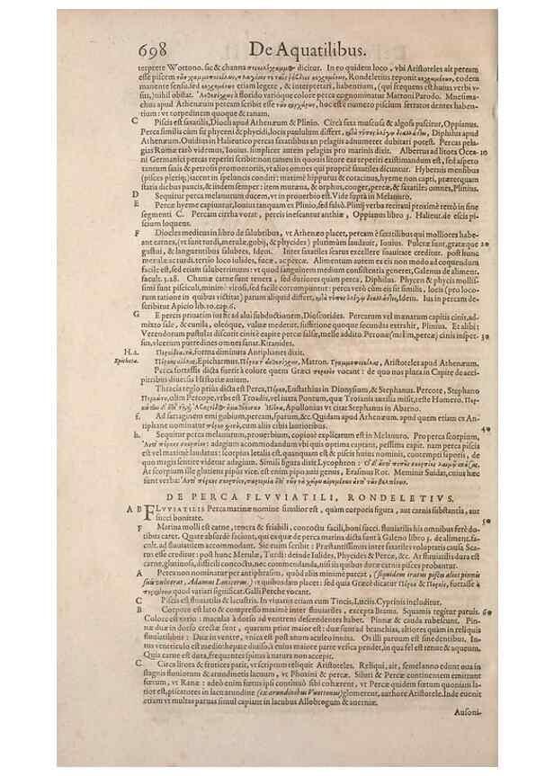 Reproducción/Reproduction 14948405354: Conradi Gesneri medici Tigurini Historiae animalium liber IV :. Francofurti :In Bibliopolio Andreae Cambieri,anno MDCIIII [1604]