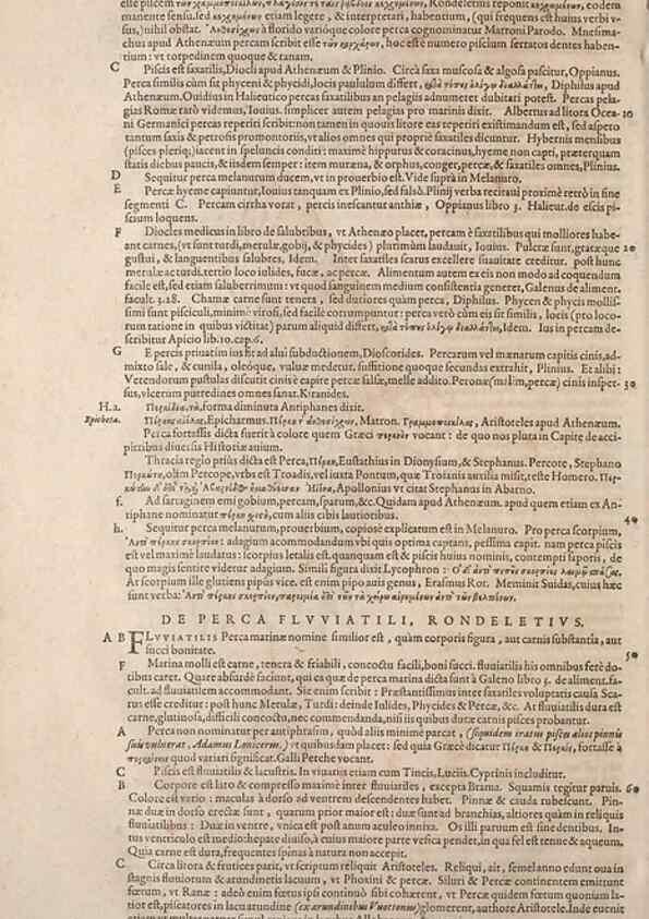 Reproducción/Reproduction 14948405354: Conradi Gesneri medici Tigurini Historiae animalium liber IV :. Francofurti :In Bibliopolio Andreae Cambieri,anno MDCIIII [1604]