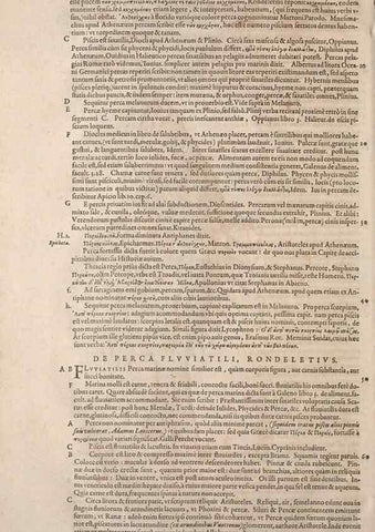 Reproducción/Reproduction 14948405354: Conradi Gesneri medici Tigurini Historiae animalium liber IV :. Francofurti :In Bibliopolio Andreae Cambieri,anno MDCIIII [1604]