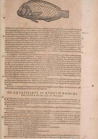 Reproducción/Reproduction 15569087155: Conradi Gesneri medici Tigurini Historiae animalium liber IV :. Francofurti :In Bibliopolio Andreae Cambieri,anno MDCIIII [1604]