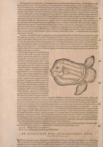 Reproducción/Reproduction 15382466539: Conradi Gesneri medici Tigurini Historiae animalium liber IV :. Francofurti :In Bibliopolio Andreae Cambieri,anno MDCIIII [1604]