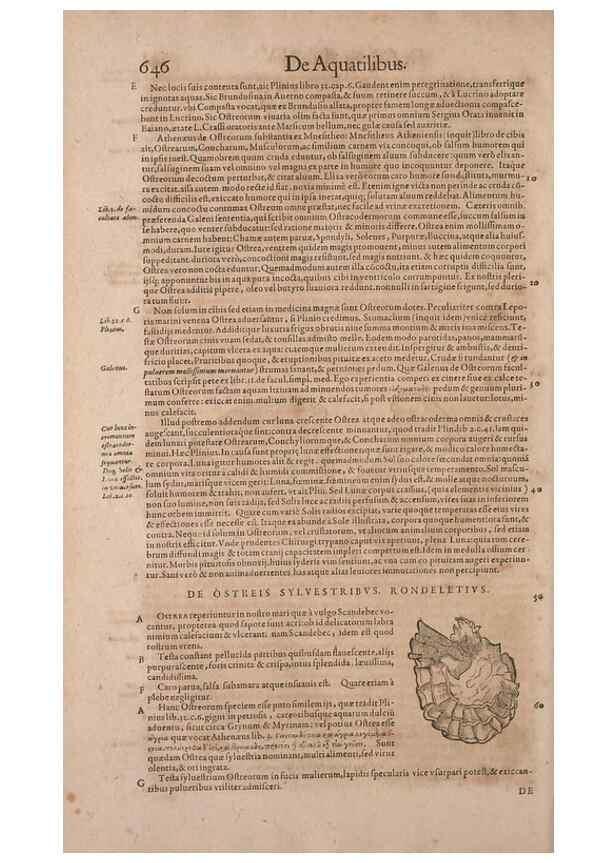 Reproducción/Reproduction 15569947602: Conradi Gesneri medici Tigurini Historiae animalium liber IV :. Francofurti :In Bibliopolio Andreae Cambieri,anno MDCIIII [1604]