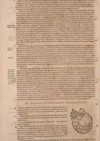 Reproducción/Reproduction 15569947602: Conradi Gesneri medici Tigurini Historiae animalium liber IV :. Francofurti :In Bibliopolio Andreae Cambieri,anno MDCIIII [1604]