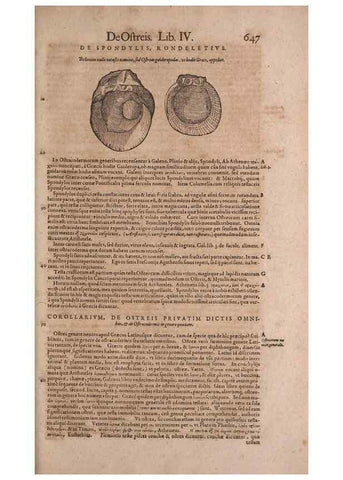 Reproducción/Reproduction 14948360764: Conradi Gesneri medici Tigurini Historiae animalium liber IV :. Francofurti :In Bibliopolio Andreae Cambieri,anno MDCIIII [1604]