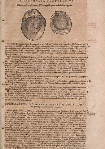 Reproducción/Reproduction 14948360764: Conradi Gesneri medici Tigurini Historiae animalium liber IV :. Francofurti :In Bibliopolio Andreae Cambieri,anno MDCIIII [1604]