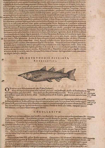 Reproducción/Reproduction 15569114905: Conradi Gesneri medici Tigurini Historiae animalium liber IV :. Francofurti :In Bibliopolio Andreae Cambieri,anno MDCIIII [1604]