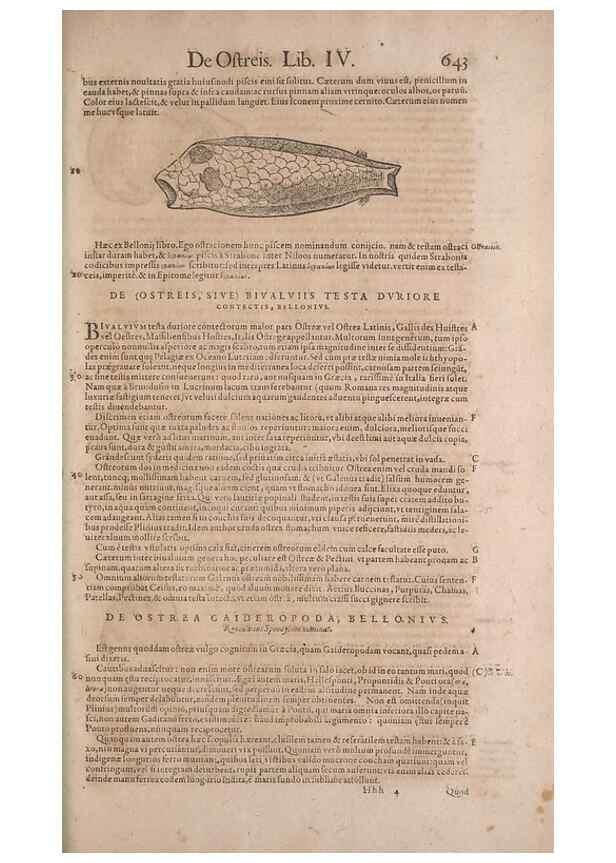 Reproducción/Reproduction 15569103775: Conradi Gesneri medici Tigurini Historiae animalium liber IV :. Francofurti :In Bibliopolio Andreae Cambieri,anno MDCIIII [1604]