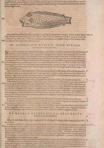 Reproducción/Reproduction 15569103775: Conradi Gesneri medici Tigurini Historiae animalium liber IV :. Francofurti :In Bibliopolio Andreae Cambieri,anno MDCIIII [1604]