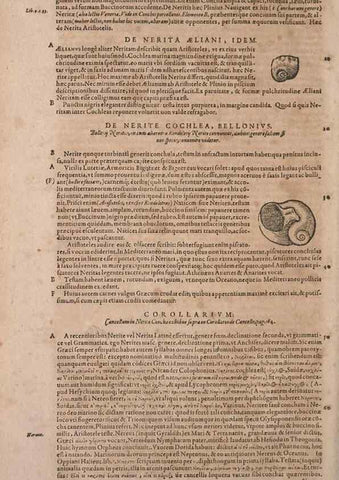 Reproducción/Reproduction 15382450469: Conradi Gesneri medici Tigurini Historiae animalium liber IV :. Francofurti :In Bibliopolio Andreae Cambieri,anno MDCIIII [1604]