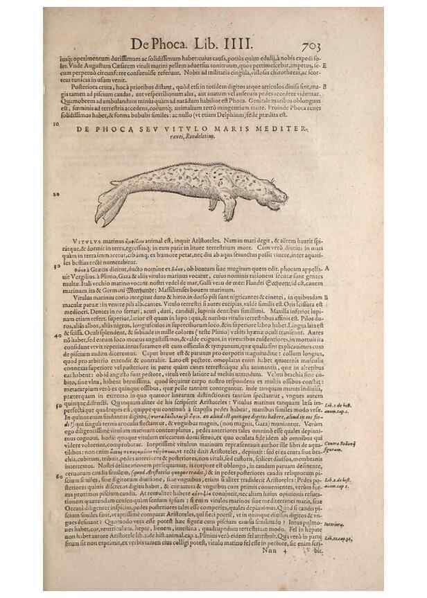Reproducción/Reproduction 15383527030: Conradi Gesneri medici Tigurini Historiae animalium liber IV :. Francofurti :In Bibliopolio Andreae Cambieri,anno MDCIIII [1604]