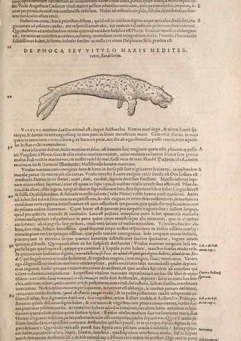 Reproducción/Reproduction 15383527030: Conradi Gesneri medici Tigurini Historiae animalium liber IV :. Francofurti :In Bibliopolio Andreae Cambieri,anno MDCIIII [1604]