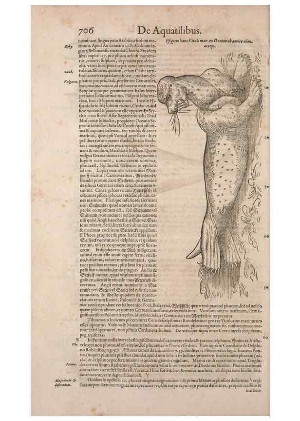 Reproducción/Reproduction 15382529649: Conradi Gesneri medici Tigurini Historiae animalium liber IV :. Francofurti :In Bibliopolio Andreae Cambieri,anno MDCIIII [1604]