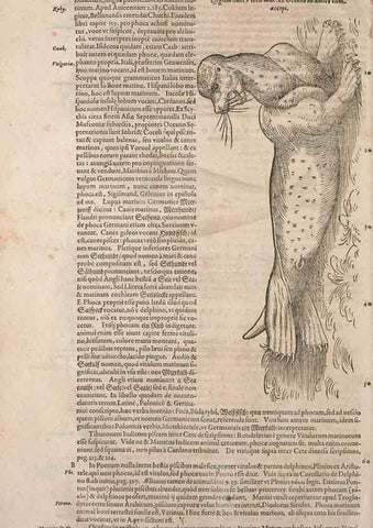 Reproducción/Reproduction 15382529649: Conradi Gesneri medici Tigurini Historiae animalium liber IV :. Francofurti :In Bibliopolio Andreae Cambieri,anno MDCIIII [1604]