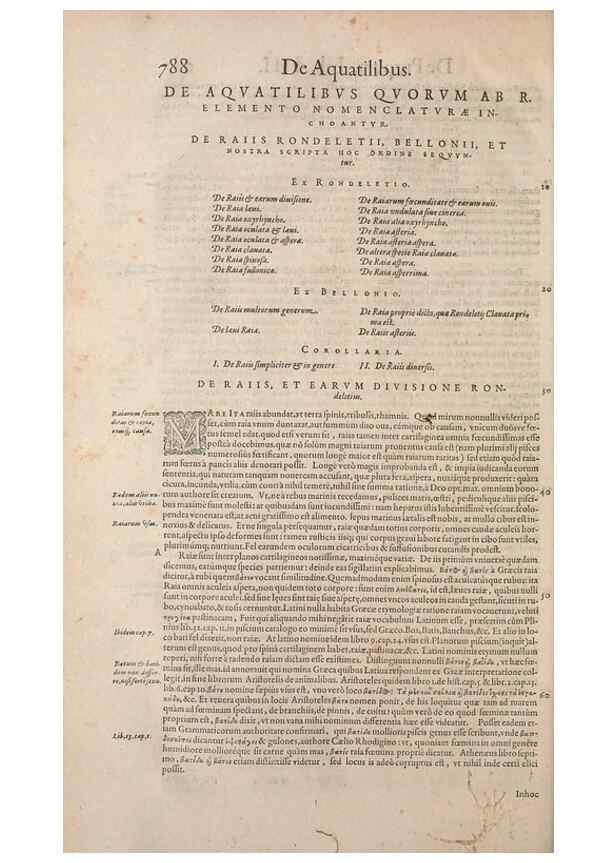 Reproducción/Reproduction 15383569870: Conradi Gesneri medici Tigurini Historiae animalium liber IV :. Francofurti :In Bibliopolio Andreae Cambieri,anno MDCIIII [1604]