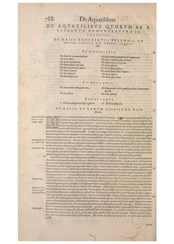 Reproducción/Reproduction 15383569870: Conradi Gesneri medici Tigurini Historiae animalium liber IV :. Francofurti :In Bibliopolio Andreae Cambieri,anno MDCIIII [1604]