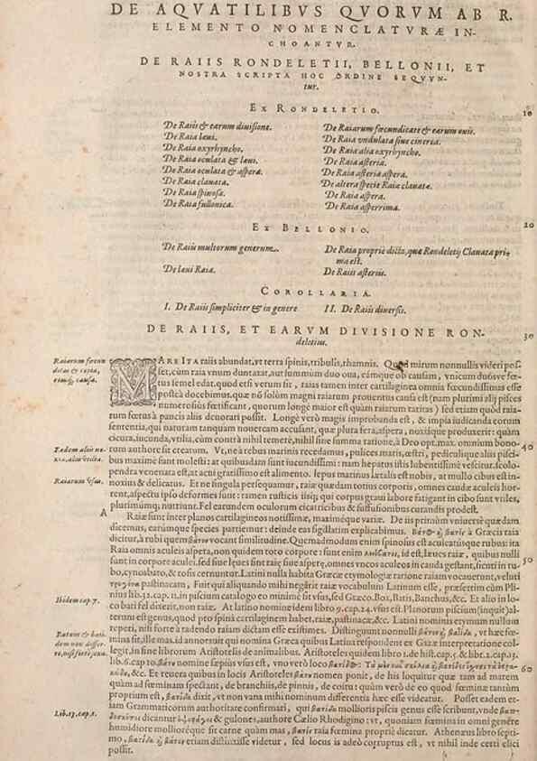Reproducción/Reproduction 15383569870: Conradi Gesneri medici Tigurini Historiae animalium liber IV :. Francofurti :In Bibliopolio Andreae Cambieri,anno MDCIIII [1604]