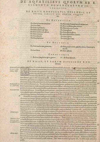 Reproducción/Reproduction 15383569870: Conradi Gesneri medici Tigurini Historiae animalium liber IV :. Francofurti :In Bibliopolio Andreae Cambieri,anno MDCIIII [1604]
