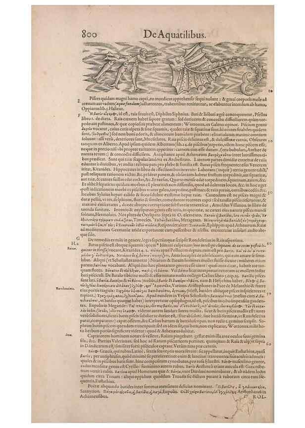 Reproducción/Reproduction 15570061392: Conradi Gesneri medici Tigurini Historiae animalium liber IV :. Francofurti :In Bibliopolio Andreae Cambieri,anno MDCIIII [1604]