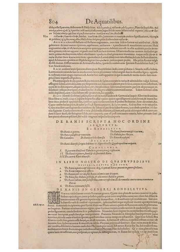 Reproducción/Reproduction 15570069162: Conradi Gesneri medici Tigurini Historiae animalium liber IV :. Francofurti :In Bibliopolio Andreae Cambieri,anno MDCIIII [1604]