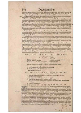 Reproducción/Reproduction 15570069162: Conradi Gesneri medici Tigurini Historiae animalium liber IV :. Francofurti :In Bibliopolio Andreae Cambieri,anno MDCIIII [1604]