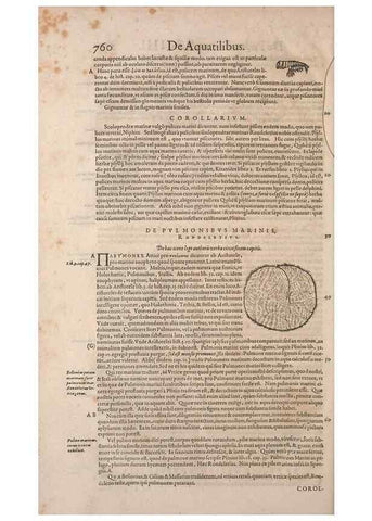 Reproducción/Reproduction 15382563249: Conradi Gesneri medici Tigurini Historiae animalium liber IV :. Francofurti :In Bibliopolio Andreae Cambieri,anno MDCIIII [1604]