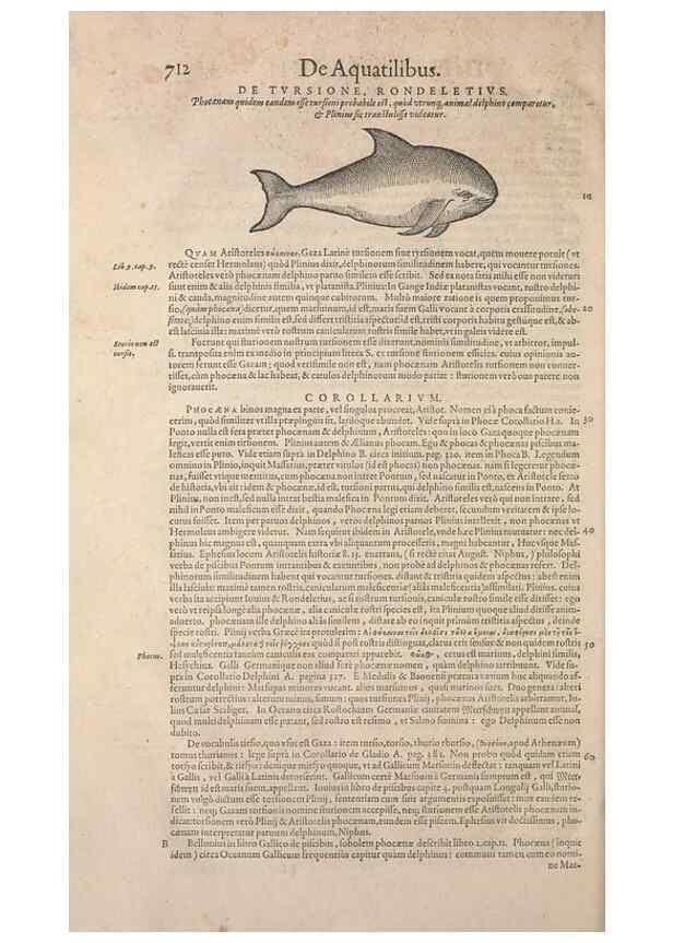 Reproducción/Reproduction 15382531679: Conradi Gesneri medici Tigurini Historiae animalium liber IV :. Francofurti :In Bibliopolio Andreae Cambieri,anno MDCIIII [1604]