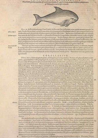 Reproducción/Reproduction 15382531679: Conradi Gesneri medici Tigurini Historiae animalium liber IV :. Francofurti :In Bibliopolio Andreae Cambieri,anno MDCIIII [1604]