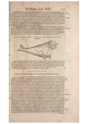 Reproducción/Reproduction 15570000952: Conradi Gesneri medici Tigurini Historiae animalium liber IV :. Francofurti :In Bibliopolio Andreae Cambieri,anno MDCIIII [1604]