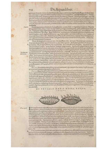Reproducción/Reproduction 15383169947: Conradi Gesneri medici Tigurini Historiae animalium liber IV :. Francofurti :In Bibliopolio Andreae Cambieri,anno MDCIIII [1604]