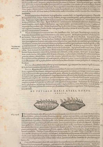 Reproducción/Reproduction 15383169947: Conradi Gesneri medici Tigurini Historiae animalium liber IV :. Francofurti :In Bibliopolio Andreae Cambieri,anno MDCIIII [1604]