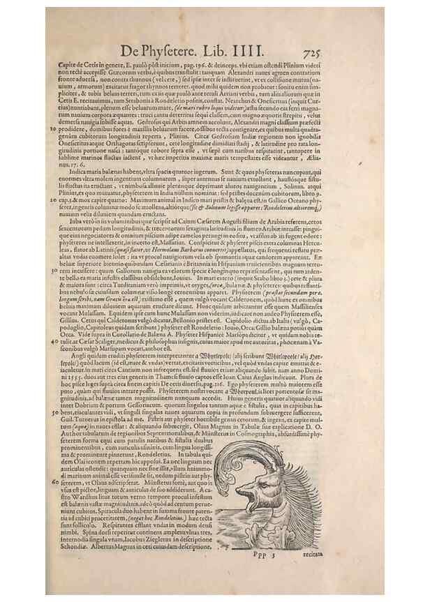 Reproducción/Reproduction 15566511311: Conradi Gesneri medici Tigurini Historiae animalium liber IV :. Francofurti :In Bibliopolio Andreae Cambieri,anno MDCIIII [1604]